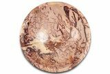 Polished Saharan Desert Jasper Dish - Morocco #326938-1